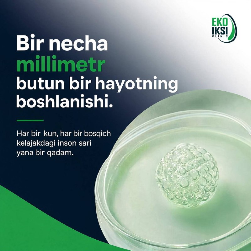 Embrion rivojlanishi: yangi hayotning ilk qadamlari (5/5)