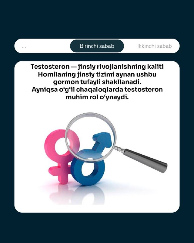 Testosteron homila uchun qanchalik muhim? (2/5)