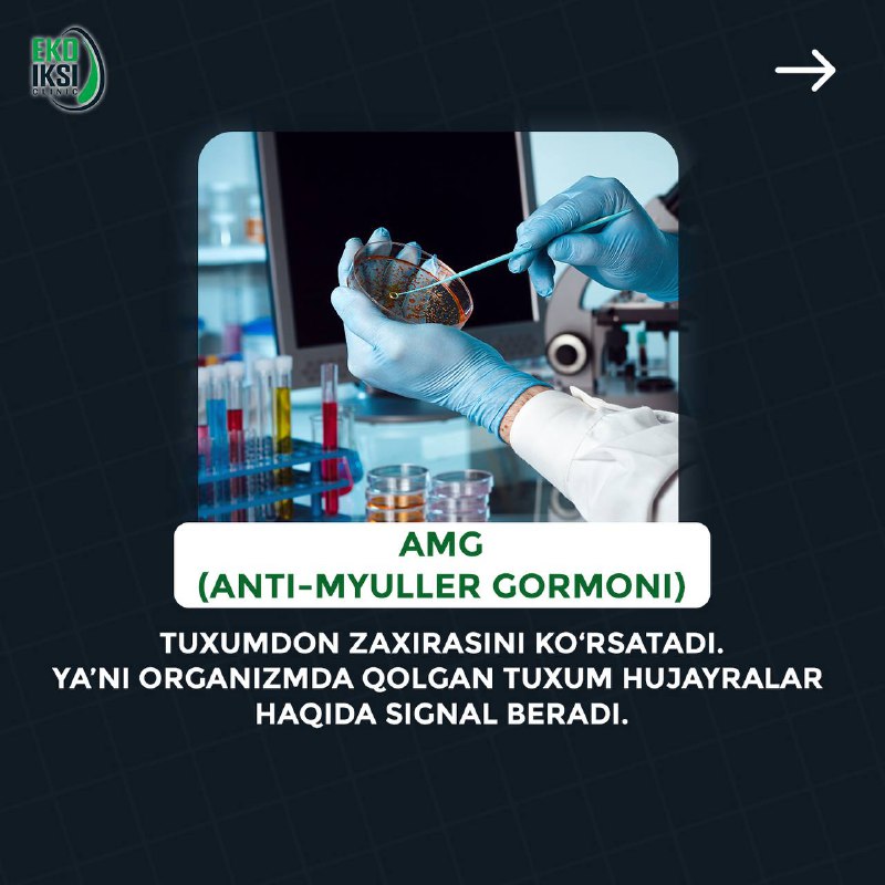 AMG (Anti-Myuller gormoni) nima? (2/5)