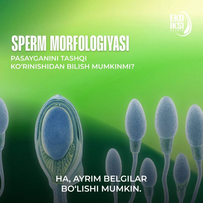 sperma morfologiyasi