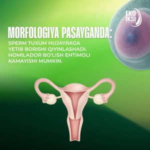 morfologiya pasaygan