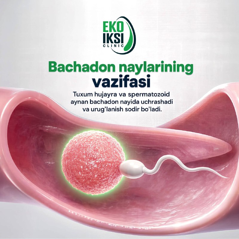 Bachadon naylarini tekshirtirish nega muhim?