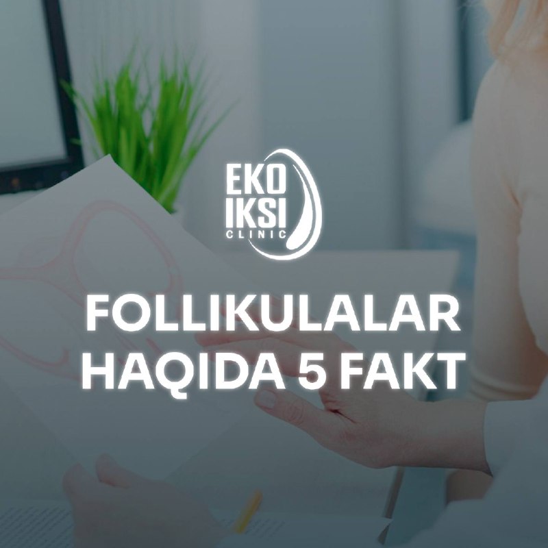 Follikulalar haqida 5 fakt