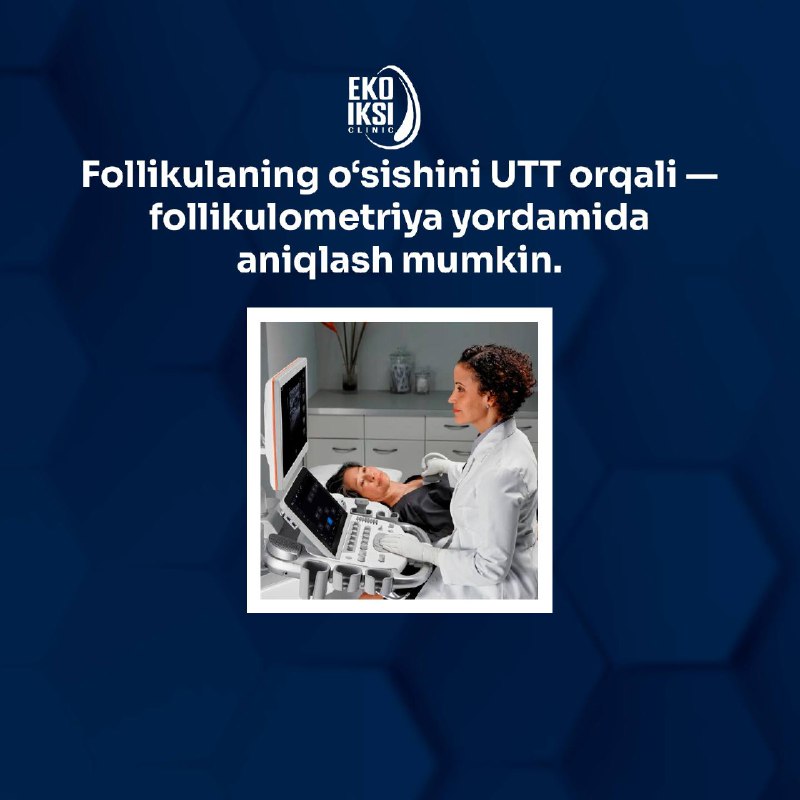 Follikulalar haqida 5 fakt
