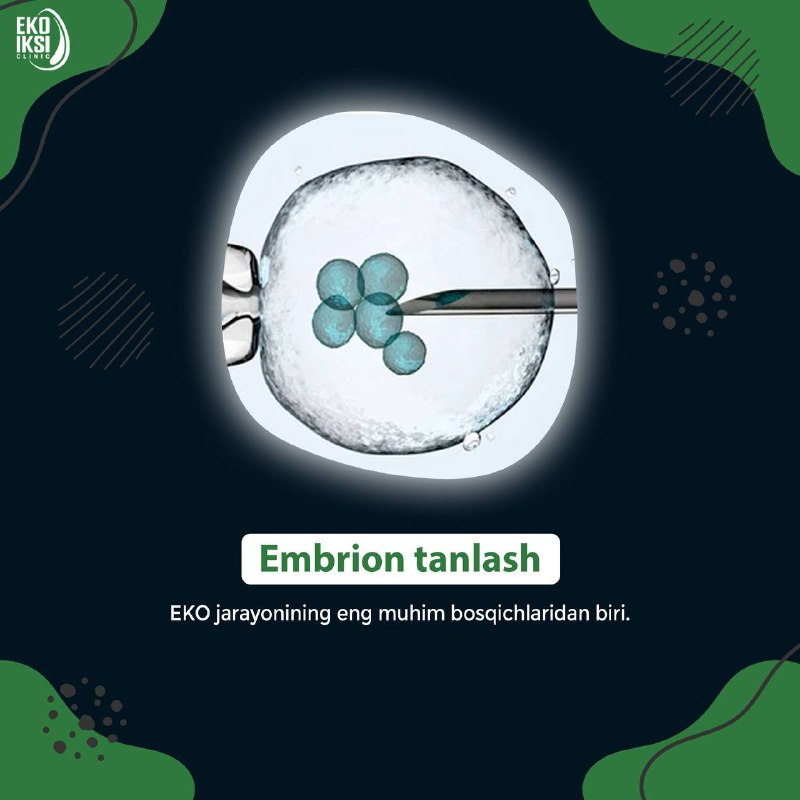 Embrion tanlash jarayoni qanday o‘tadi
